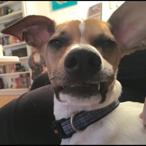 Meet your Posher, Heather